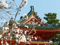 Gli effetti della guerra in Iran si fanno sempre più sentire, l’industria turistica giapponese sta perdendo migliaia di turisti europei