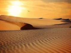 Il paese vicino al RI potrebbe essere caldo quanto il Sahara entro il 2070, gli scienziati rivelano una grave minaccia per la vita umana