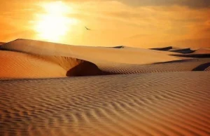 Il paese vicino al RI potrebbe essere caldo quanto il Sahara entro il 2070, gli scienziati rivelano una grave minaccia per la vita umana