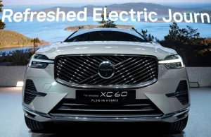 Le vendite di questi 3 marchi automobilistici sono inferiori a 10 unità al mese