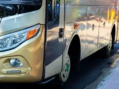 Big Bird può essere affittato per vacanze in famiglia, vedi 5 vantaggi