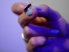 La tecnologia adesso